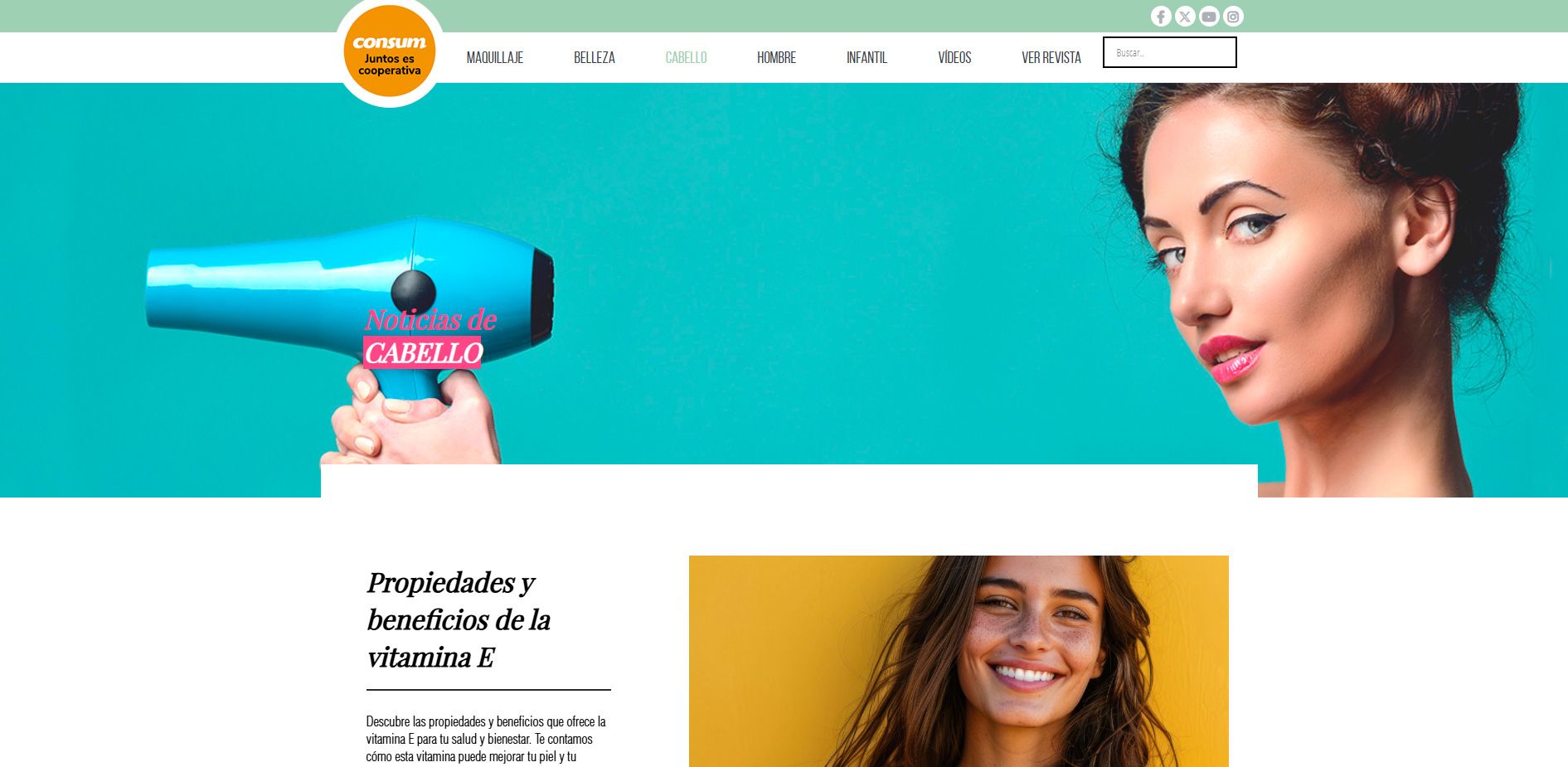 Diseño web valencia, Consum