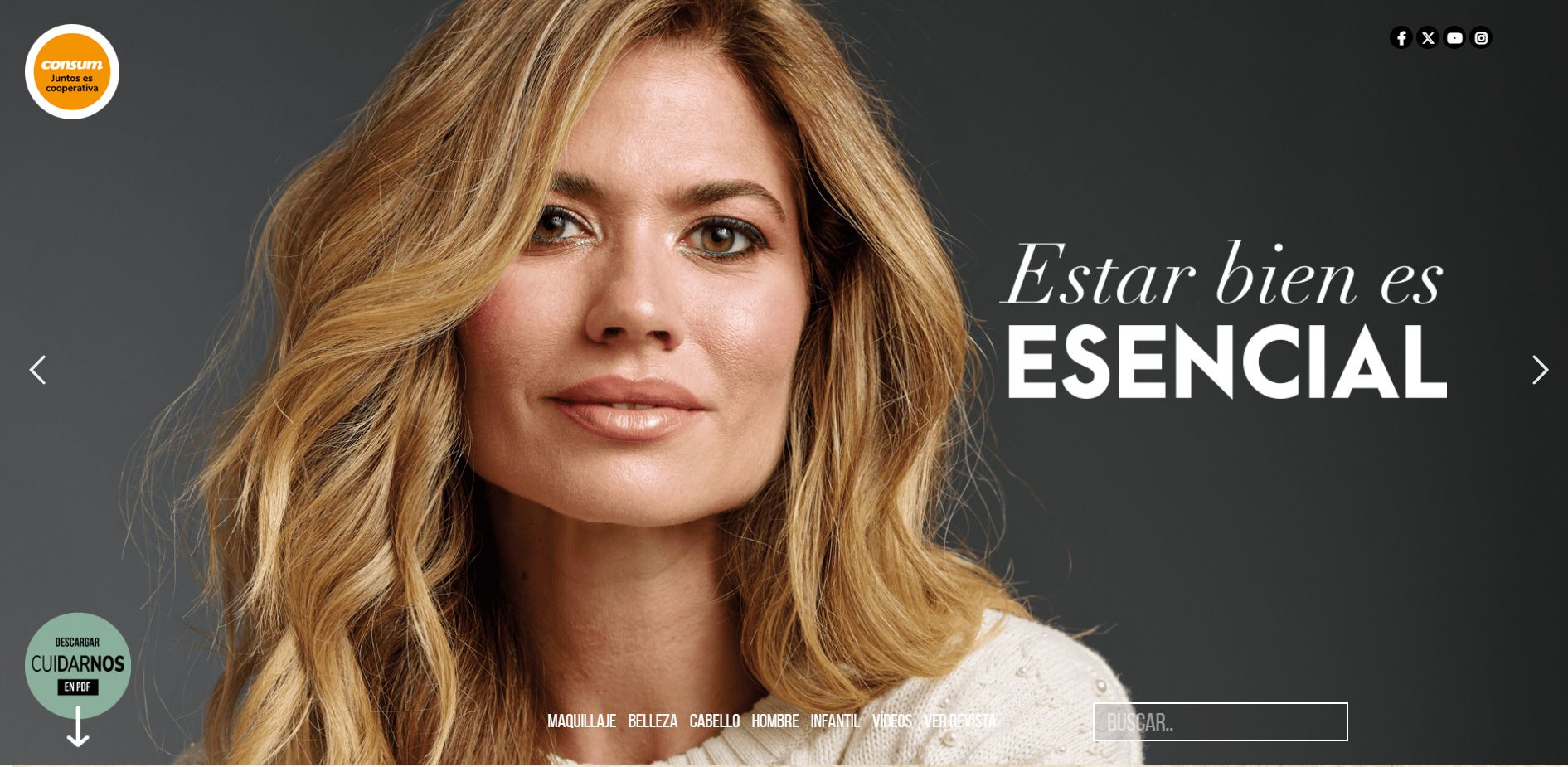 Diseño web valencia, Consum